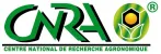 Partenaire
